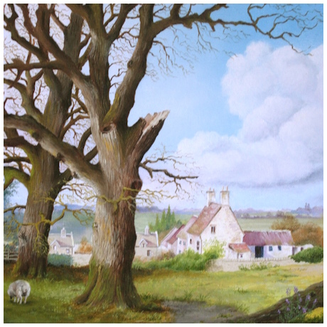 Julie Townsend's Farm