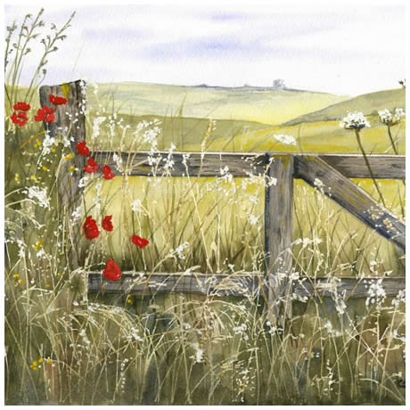 'Poppygate' watercolour