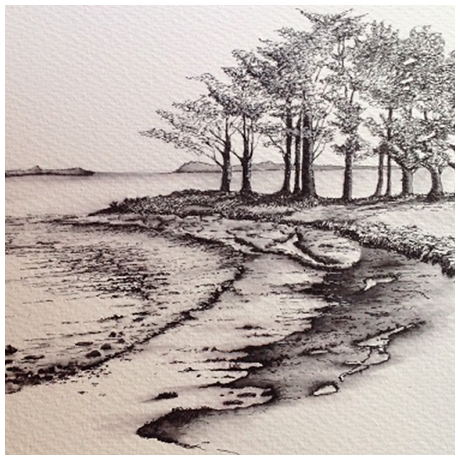 'Calm Cove' pen