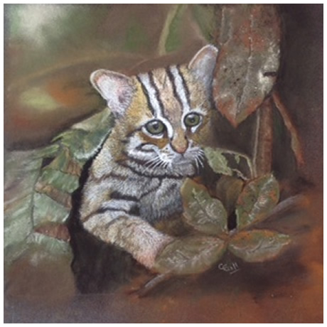 'Wild Cat' pastel