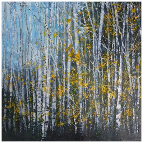 Autumn Birches